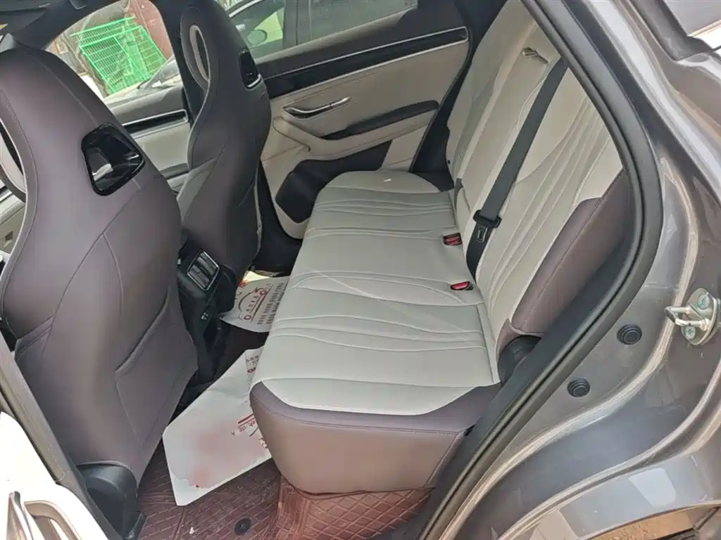 BYD PLUS New Energy 2024 — фото 17