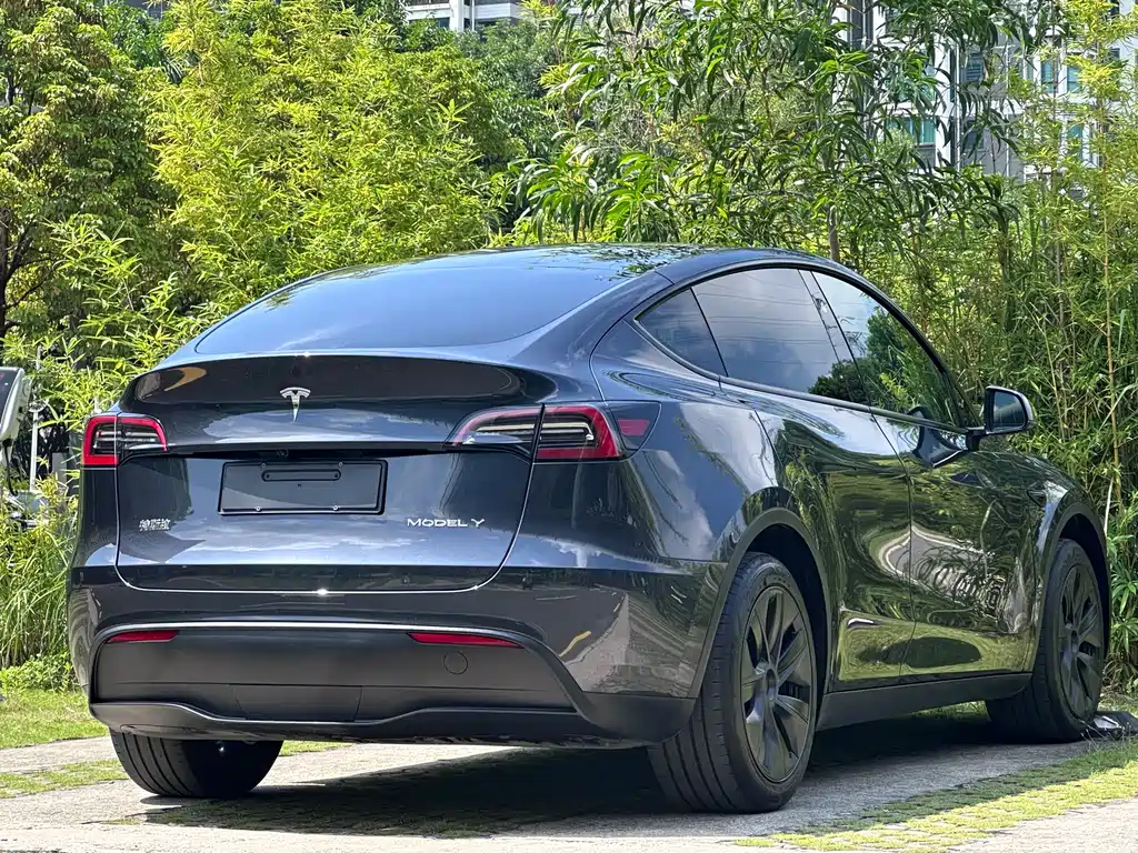 Tesla Model Y 2024 — фото 8