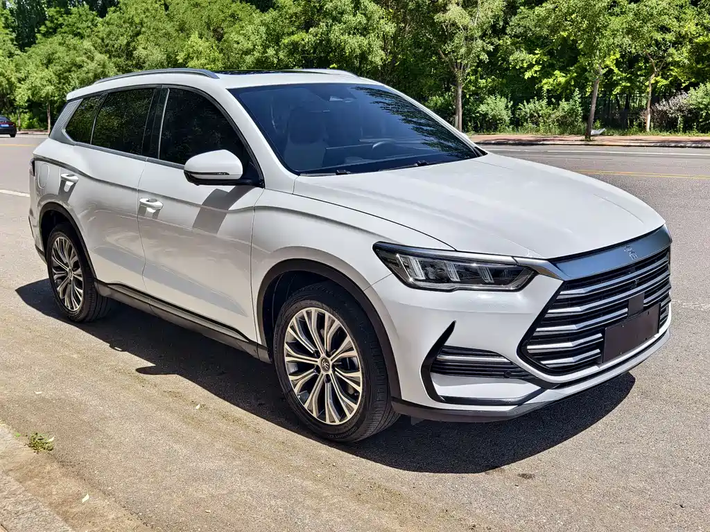 BYD Pro New Energy 2023 — фото 2