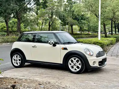 MINI MINI 2011