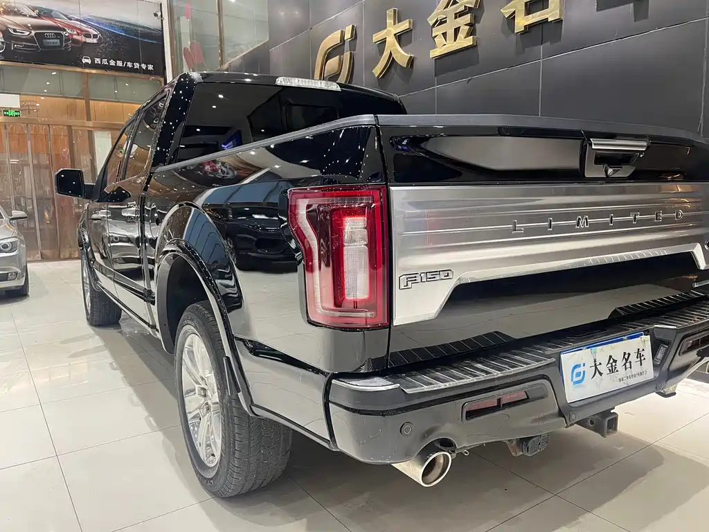 Ford F-150 Raptor 2019 — фото 13