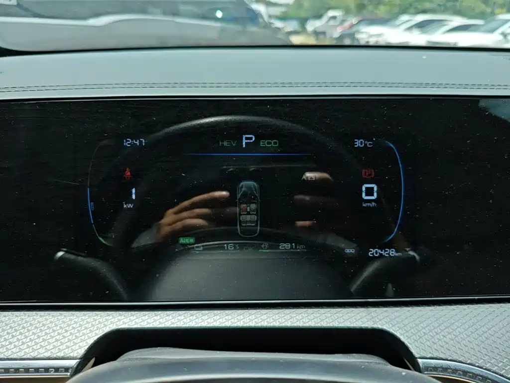 BYD Pro New Energy 2025 — фото 12