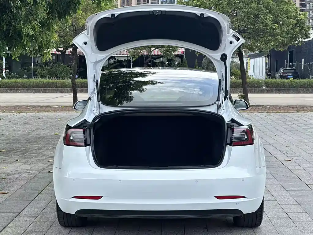 Tesla Model 3 2020 — фото 15
