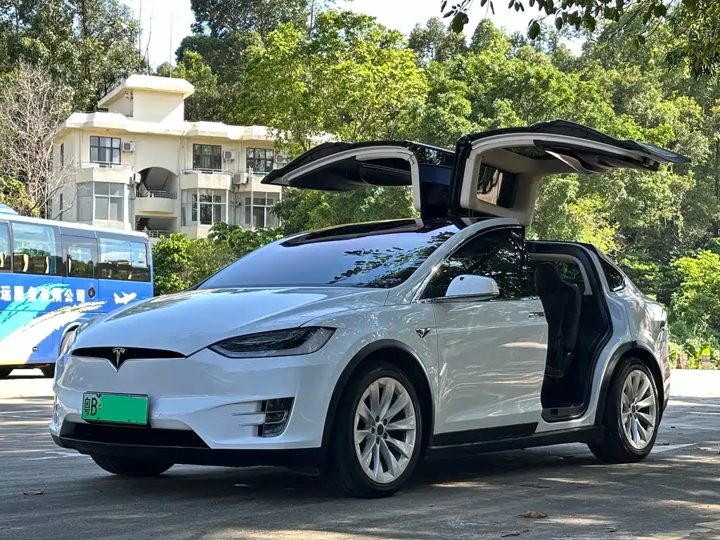 Tesla Model X 2016 — фото 1