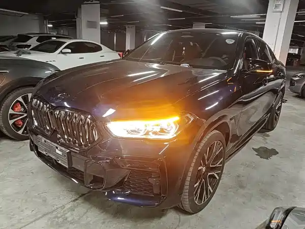 BMW X6 2022