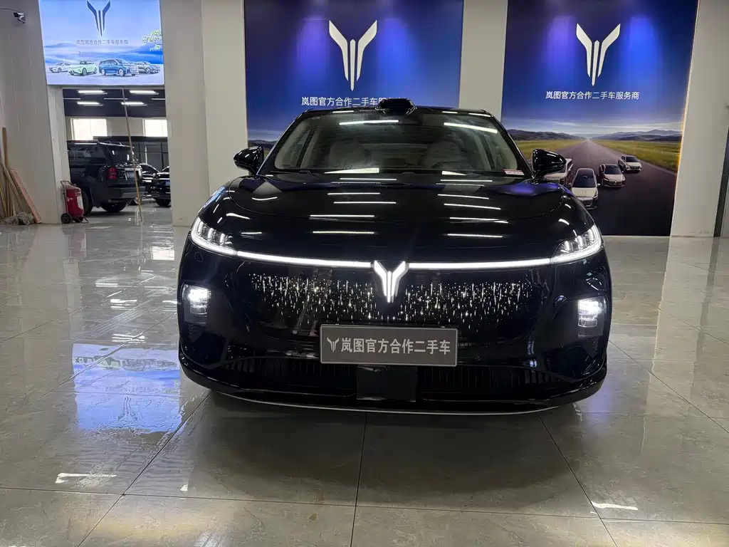 Voyah Zhiyin 2025 — фото 1