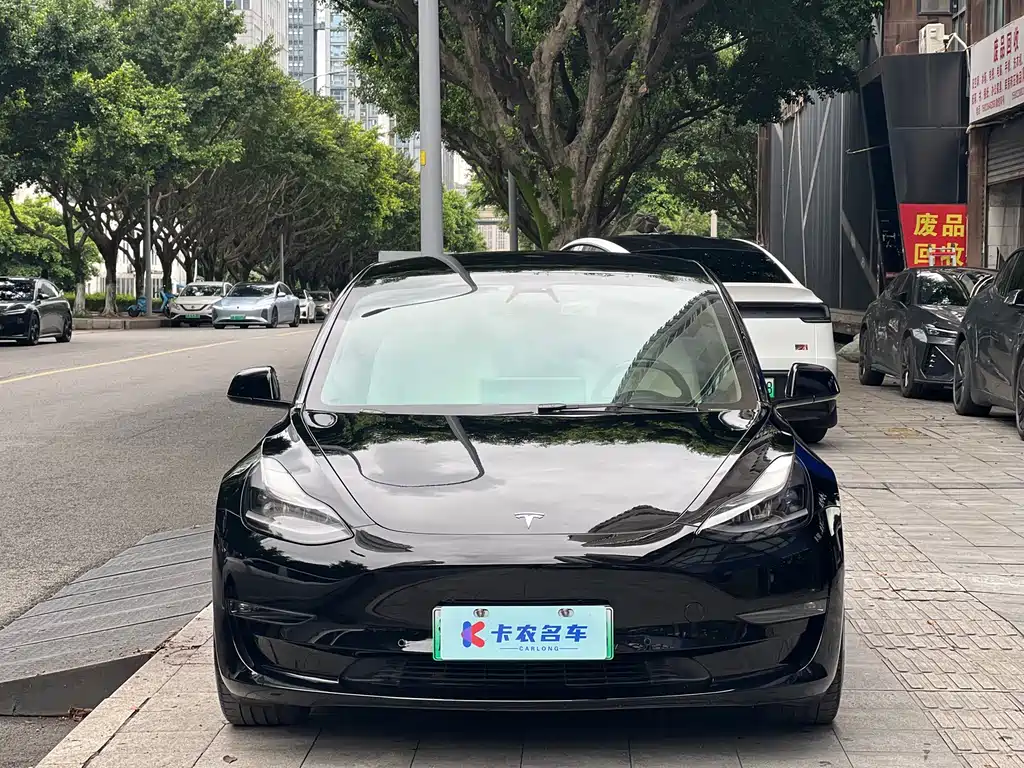 Tesla Model 3 2021 — фото 2