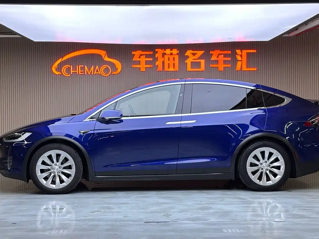 Tesla Model X 2018 — фото 21