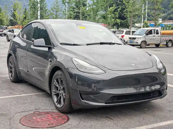 Tesla Model Y 2024