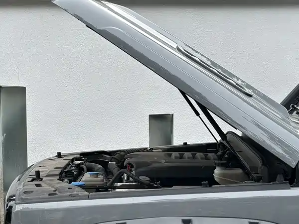 Tank 300 2023