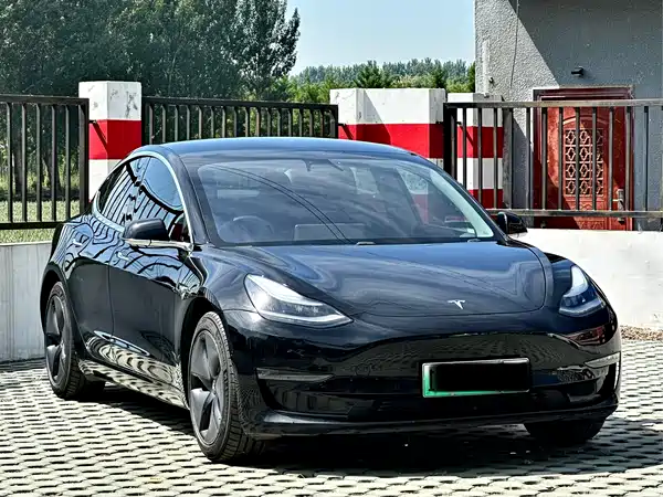 Tesla Model 3 2019