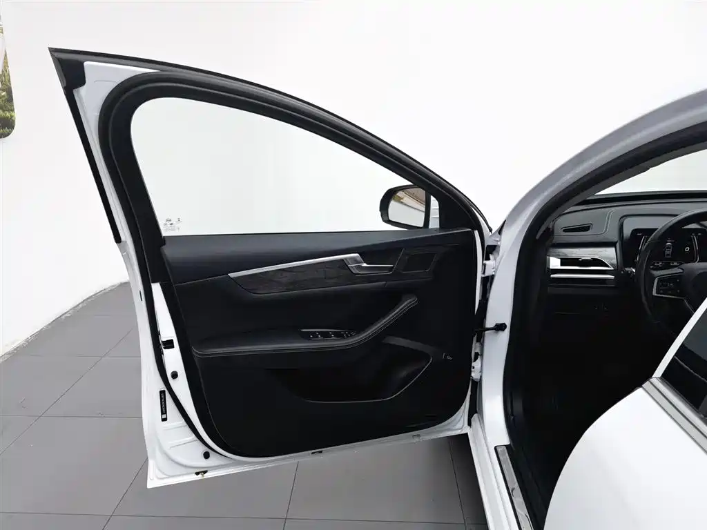 BYD Qin Pro NEV 2019 — фото 8