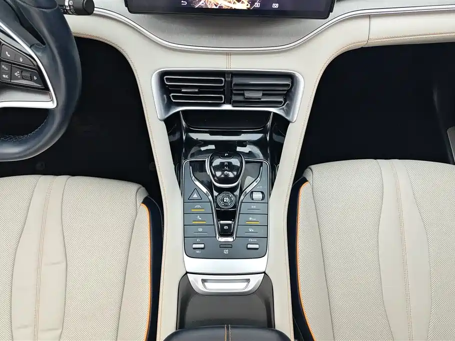 BYD PLUS New Energy 2023 — фото 16