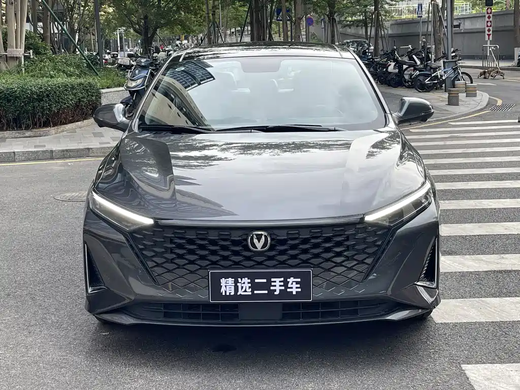 Changan Ruicheng PLUS 2023 — фото 2