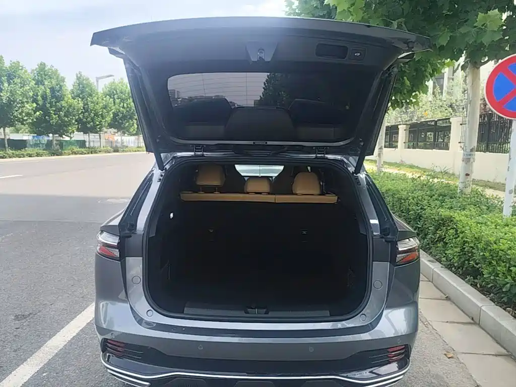 Roewe RX5 New Energy 2024 — фото 19