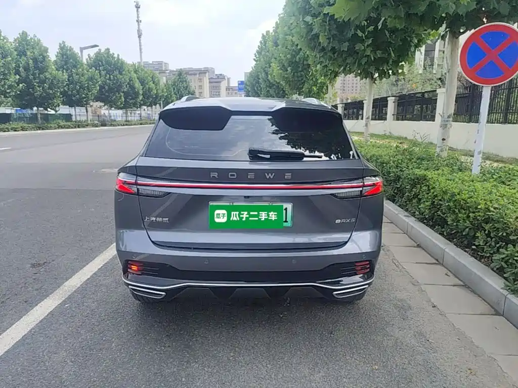 Roewe RX5 New Energy 2024 — фото 6