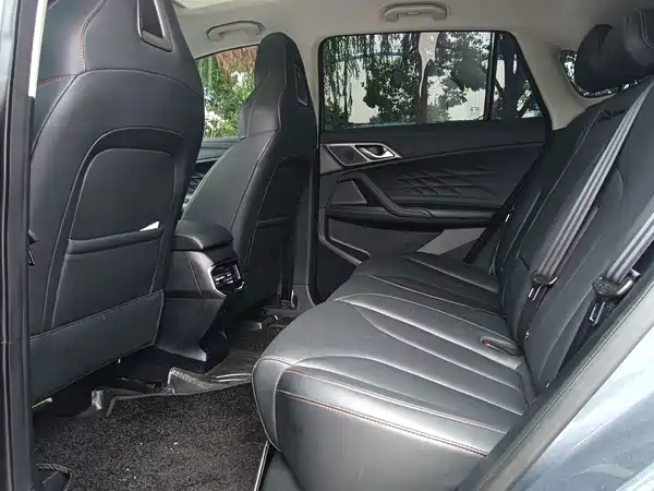 Roewe RX5 New Energy 2022