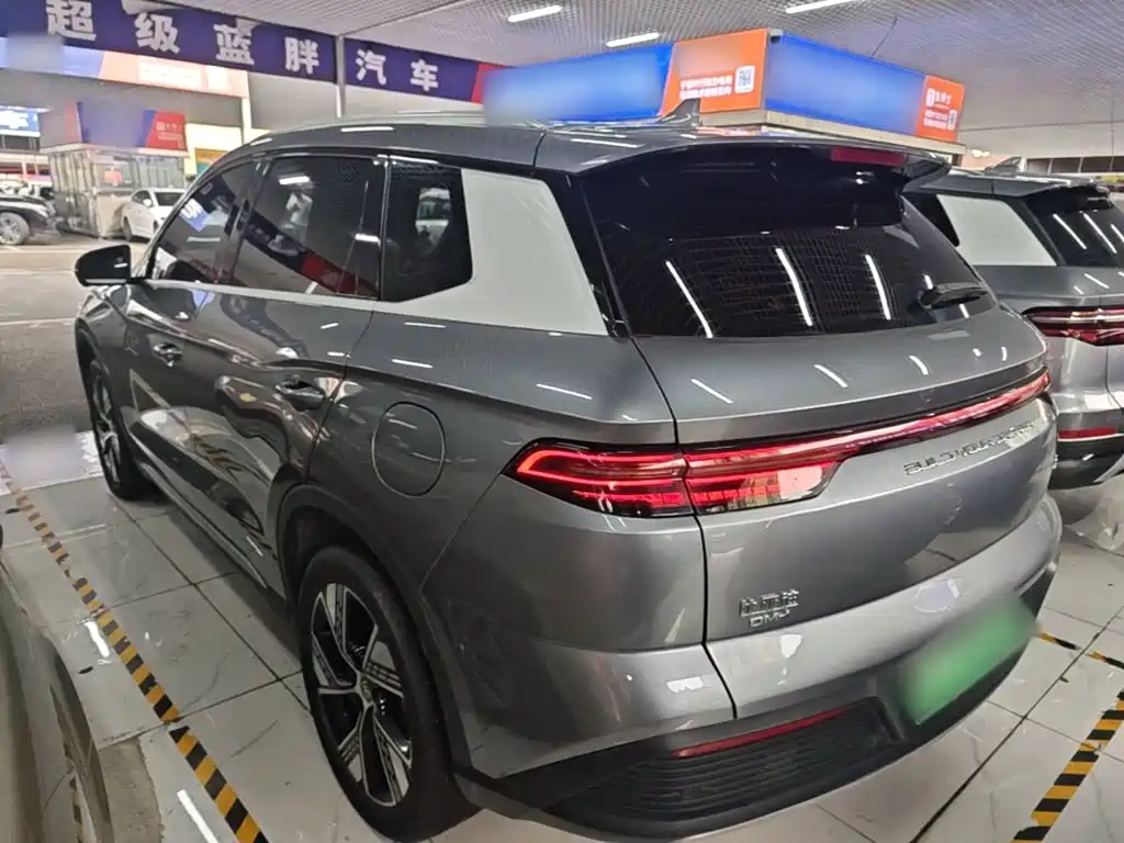 BYD Pro New Energy 2024 — фото 5