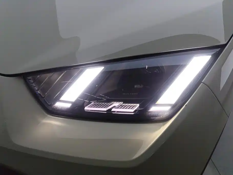 BYD Seagull 2024