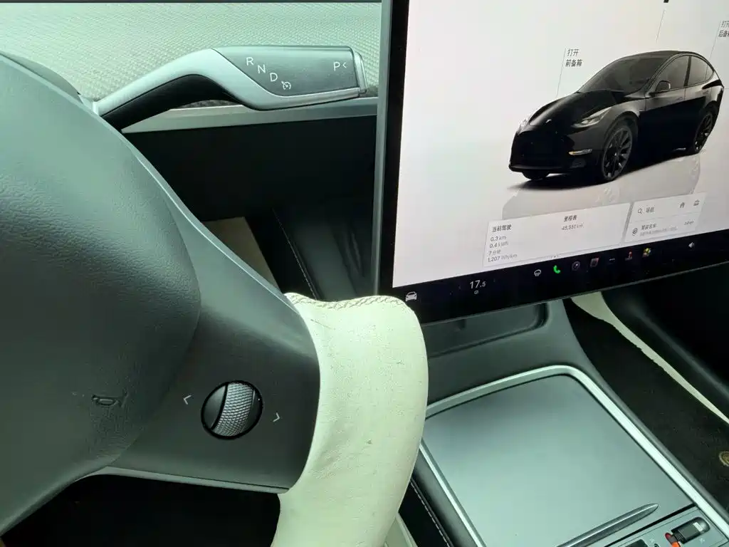 Tesla Model Y 2023 — фото 10