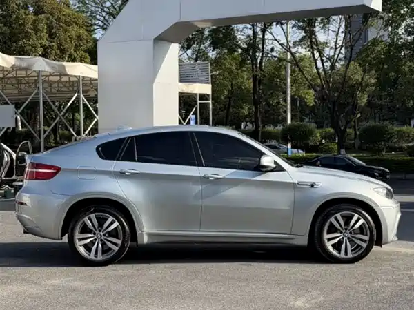 BMW X6 M 2011