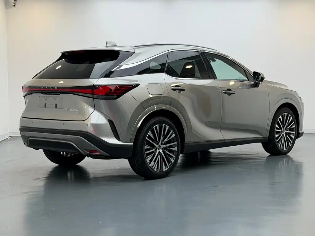 Lexus RX New Energy 2023 — фото 5