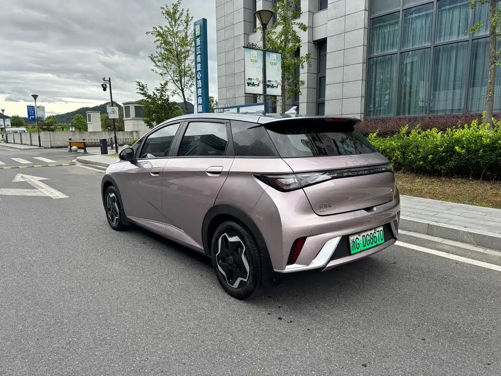 BYD Dolphin 2022