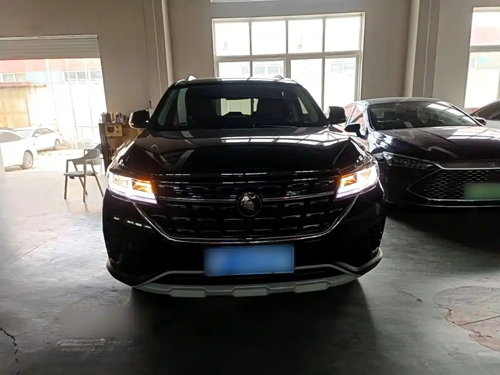 Fengxing T5 2022