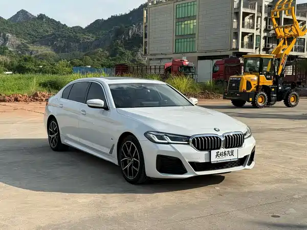 BMW 5 Series 2020