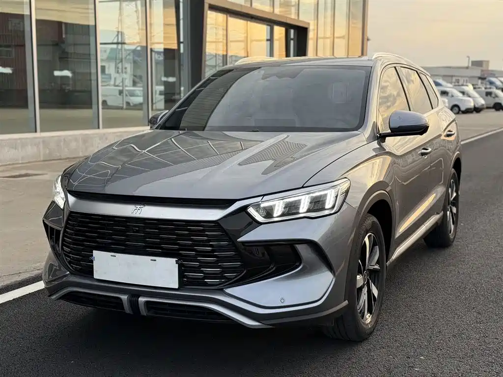 BYD Pro New Energy 2024 — фото 1