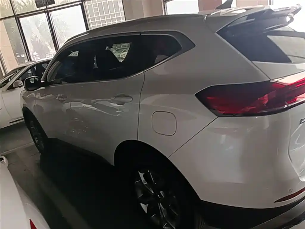 Haval H6 2021 — фото 5