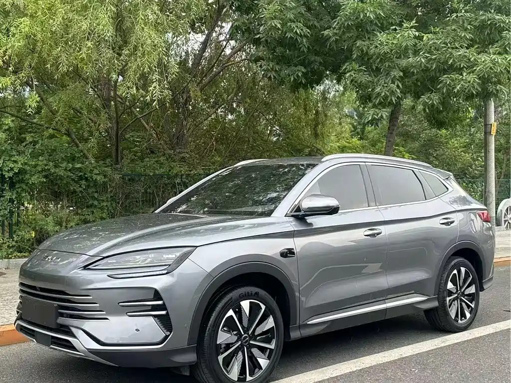 BYD PLUS New Energy 2025 — фото 1