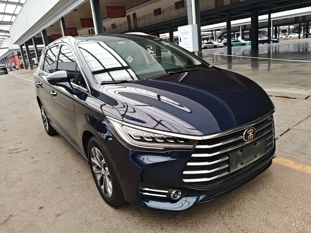 BYD MAX 2020