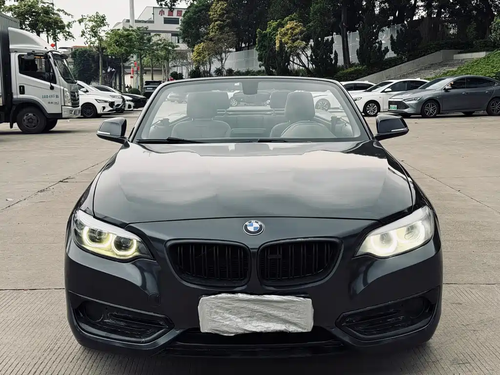 BMW 2 Series 2018 — фото 31