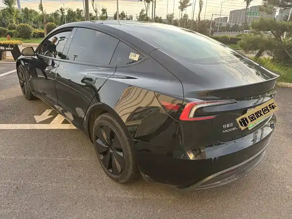 Tesla Model 3 2024
