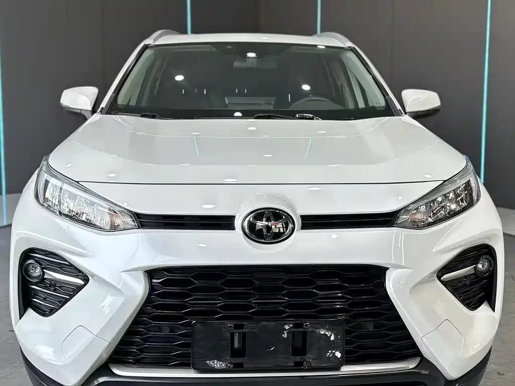 Toyota Wildlander 2020 — фото 2
