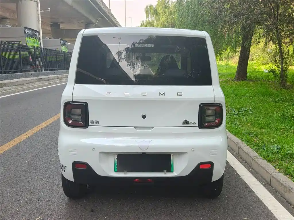 Galaxy Panda 2024