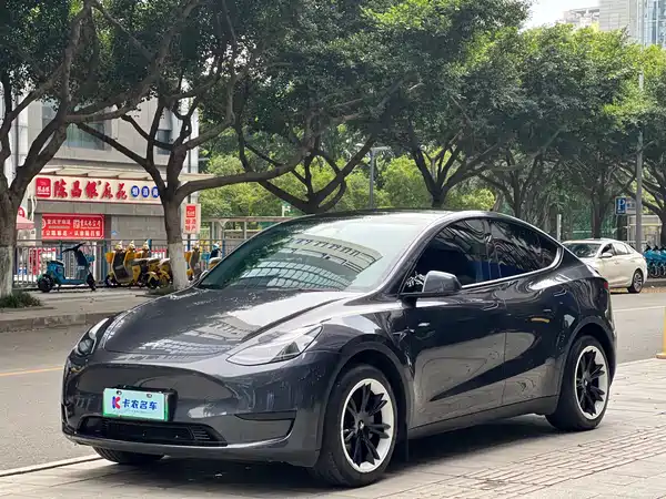 Tesla Model Y 2024
