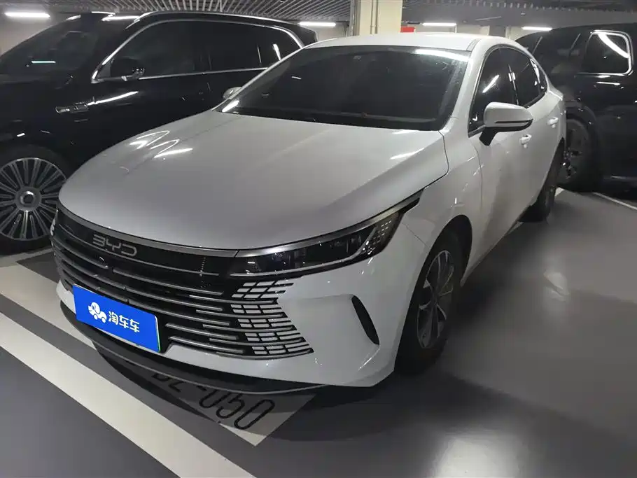 BYD Destroyer 05 2024