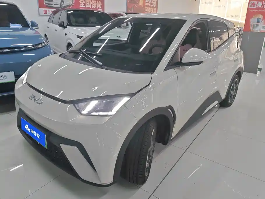 BYD Seagull 2024