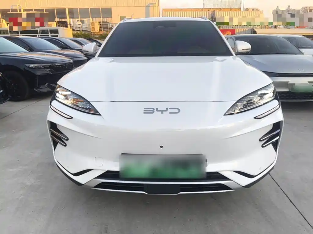 BYD Song PLUS New Energy 2025 — фото 3