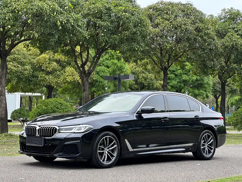 BMW 5 Series 2021
