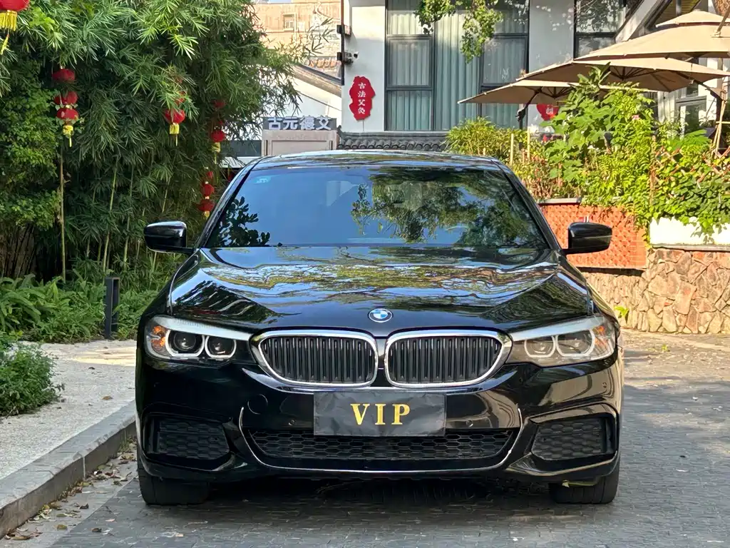 BMW 5 Series 2019