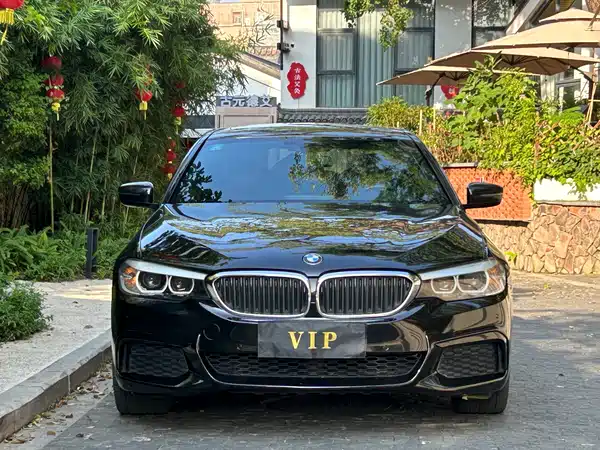 BMW 5 Series 2019