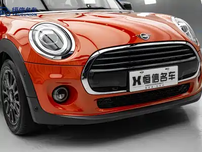 MINI MINI 2020