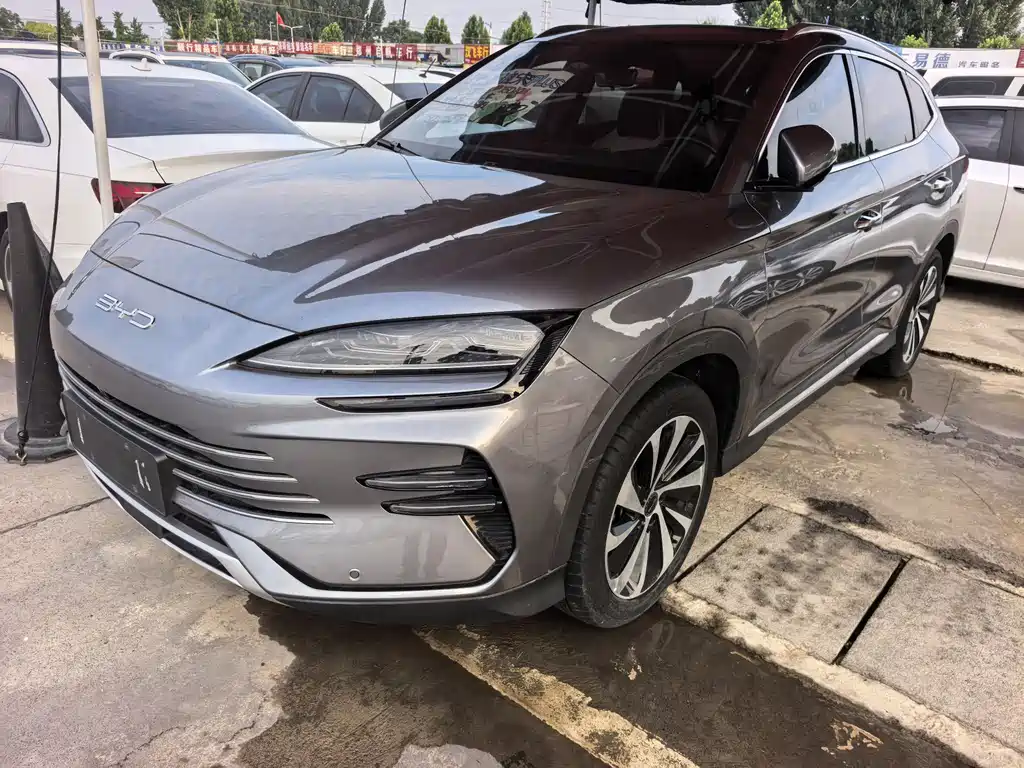 BYD PLUS New Energy 2023