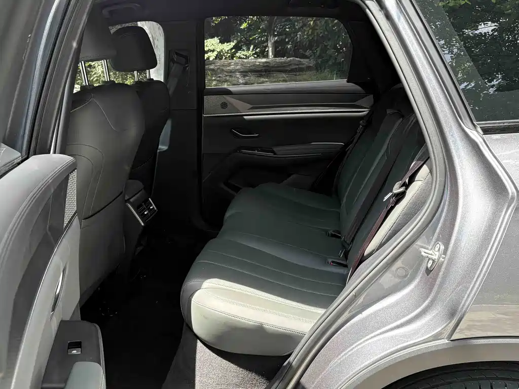 BYD Song Pro New Energy 2025 — фото 10