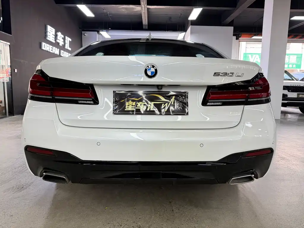 BMW 5 Series 2019 — фото 12