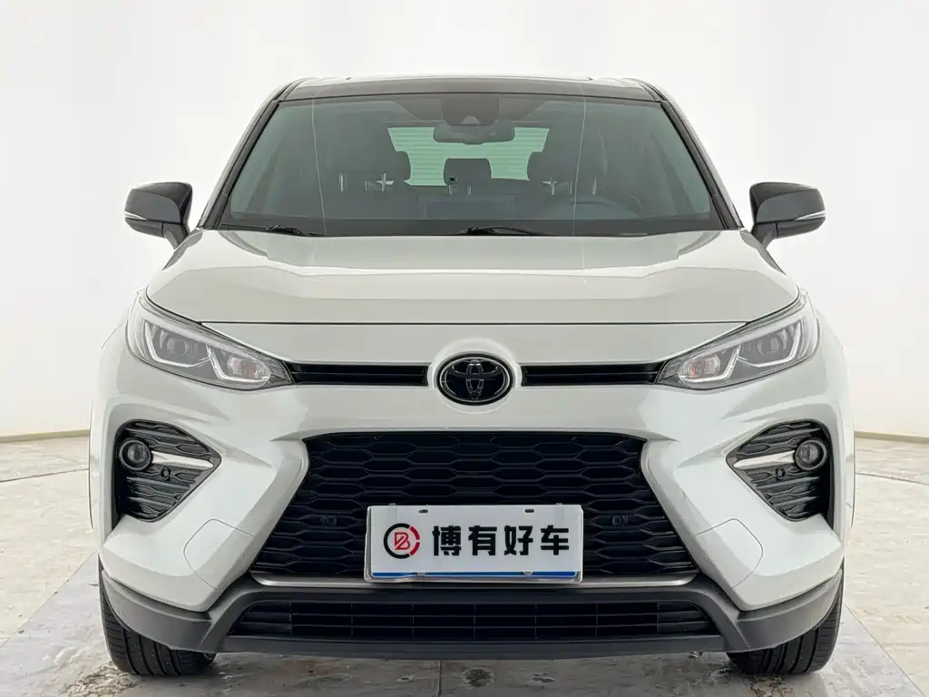 Toyota Wildlander 2020