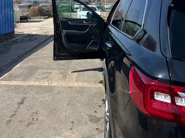 Hongqi HS7 2022